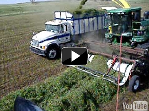 Double Windrow Pickup unit
